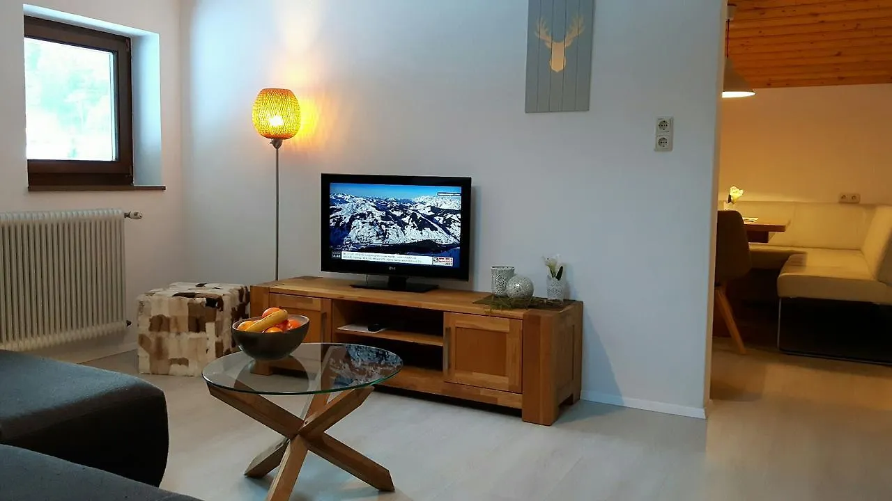 Apartment Haus Tannenblick - Joker Card Included In Summer Saalbach-Hinterglemm Austria